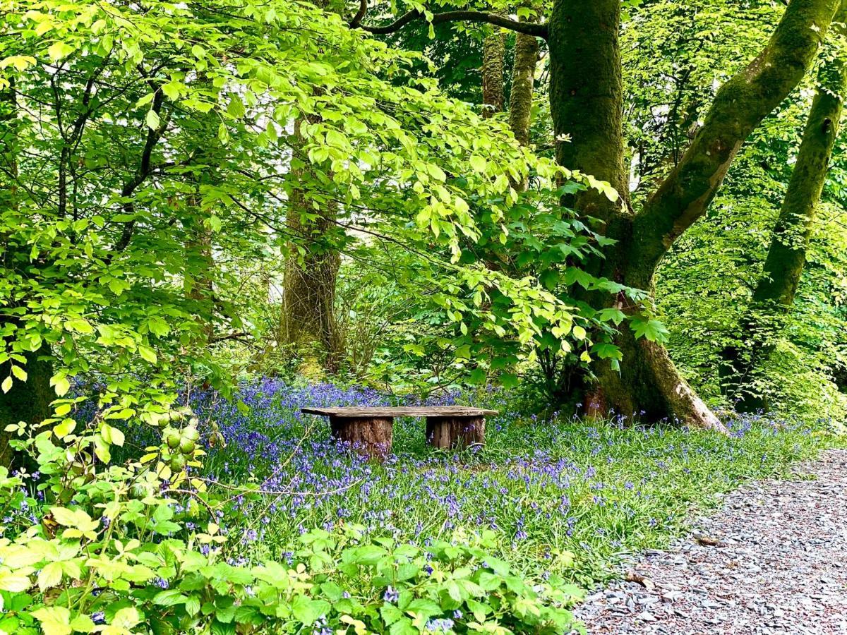 Snowdonia Holidays Caravan Hire - Aberdunant Park - 34 The Green Prenteg ภายนอก รูปภาพ