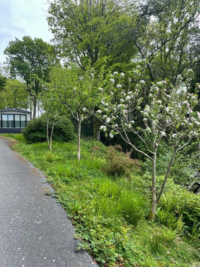 Snowdonia Holidays Caravan Hire - Aberdunant Park - 34 The Green Prenteg ภายนอก รูปภาพ