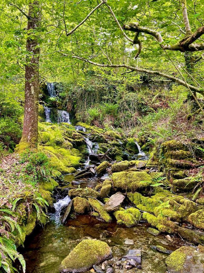 Snowdonia Holidays Caravan Hire - Aberdunant Park - 34 The Green Prenteg ภายนอก รูปภาพ